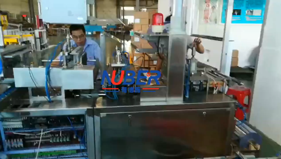 河北潔廁塊全自動(dòng)吸卡包裝機(jī)